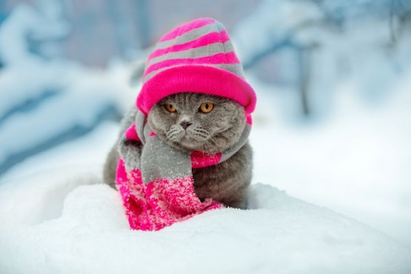 Аватар alena.bars0181@yandex.ru