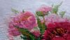 5be17716a1d19_P_20181105_1253241.thumb.jpg.f89c02a808bd81d49af615ac79d396df.jpg
