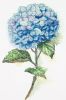 5beb275556f61_-1988.thumb.jpg.80ed2a85be10aeaedaf0d62ba06031a6.jpg