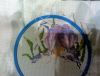 IMG_20180902_230807~3.jpg