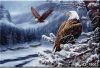 5bfa454cc375f__18003.jpg.ac99811664a7c414137d5fc1cc2cf526.thumb.jpg.0428d0399cb93f2f7af705fc7e5a4eda.jpg