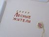 5bfaeb8fee858_-14_001.23-1-2.thumb.jpg.ff894bae76750839070e1c88bb8bd781.jpg