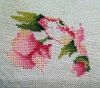 5bff842ceced1_2018-11-0808-46-55.thumb.JPG.0c899b5e3d9ecbb9d991d4cd66d670d8.JPG