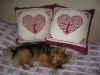 5c0032cc2a80a_IMG_3135Pillows_.thumb.jpg.21773574e78c75b77bd9572e2ae493d6.jpg