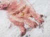 7.thumb.jpg.9acef0df7e0501b866aa162badad7053.jpg