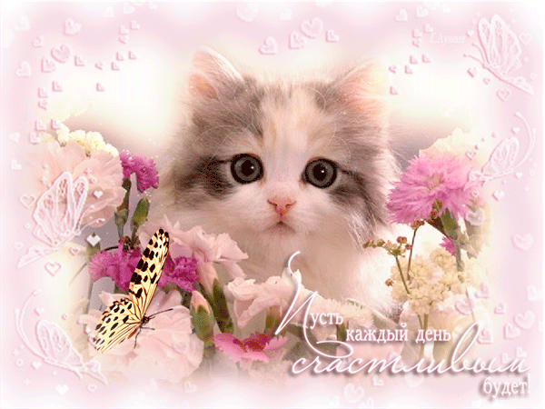 7490-otkritki-Otkritka-animatsiya-zhelayu-schastya-otkritka-pozhelanie-schastya-otkritka-dlya-tebya.thumb.gif.96a6981f8b9021f79f0eeab2a1108757.gif