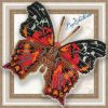 BGP-047_n_Hypanartia-Kefersteini.thumb.jpg.e53ec78d48341a116bdf0b0e2d02d389.jpg