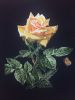 DD0C930C-D269-48E7-8FAE-D7125B99C9A8.thumb.jpeg.b4f37bf702fd713ef6c39fa6f0df1341.jpeg