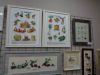 DSC04877.thumb.JPG.26dd81a07b3ccbf589dbd01f907048b6.JPG