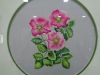 DSC04894.thumb.JPG.daee7f6b9e2afb332787daed00ccfc46.JPG