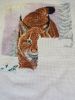 DSC05617.thumb.jpg.74261035c3f3d8b75cb93cc240edfcaa.jpg