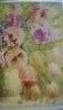 DSC06518.thumb.JPG.6f722f786ebe463b890a60e264e84e77.JPG?1541522747396