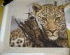 DSC083436.thumb.JPG.3ae6f5c137caab3ce73cbf1ac1fef938.JPG