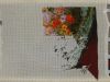 DSCN7954.thumb.JPG.bfbd68f93243ce87cebfc22c7db1c208.JPG