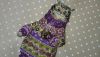DSC_0480.thumb.JPG.ec652c6b917fa7dc67a2e884579ed483.JPG