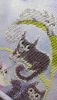 DSC_0500.thumb.JPG.4cc202788c86cadae81a267e3f787729.JPG