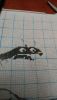 DSC_0562.thumb.JPG.d8e64093fc0d2fd1c4fd63e7e2e7ed73.JPG