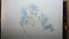 DSC_0928.thumb.JPG.a1e7b8ec17b31d3edcb3e22f1b638dbc.JPG