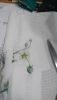 DSC_0935.thumb.JPG.1759603d3fbbdcdd9f9343e4fa1e502d.JPG