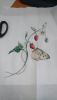 DSC_1017.thumb.JPG.afc7dbedd6a20f13341ffa4dc8cf735d.JPG