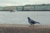 DSC_9078.thumb.JPG.75c4c7472b99b28869b59dc99072c927.JPG