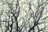 DSC_9084.thumb.JPG.42e8ec6dcc492b4858d6ed9aa8113fe7.JPG
