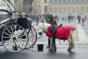 DSC_9090.thumb.JPG.a98c220d0093831d9df75bc14adece0f.JPG