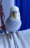 ECK_hM8TT8g.thumb.jpg.5ad36981d8d6adcb32a39c9e48f1fb7f.jpg