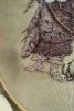 IMG-20180502-WA0002.jpg