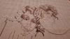 IMG-20180916-WA0005.thumb.jpg.3747a258f4b12537b5bac45fbd06a47a.jpg