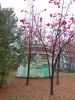 IMG_20181104_101336_BURST1.thumb.jpg.ef98794a6609bda1673fa9d511a9fdea.jpg