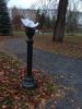 IMG_20181104_123611.thumb.jpg.dc3ab8011ccd0fb652597d26cdc3a546.jpg