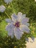 IMG_20181108_092536.thumb.jpg.746c939cddbad2441671e11d6fae941a.jpg