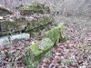 IMG_20181118_131852.thumb.jpg.565fc41a86f75a9116861a083529c63e.jpg