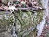 IMG_20181118_131929.thumb.jpg.66889d3127b471325114b09b936a8817.jpg