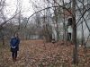 IMG_20181118_132705.thumb.jpg.d76574e72dc69ec8d25597298cf60c18.jpg