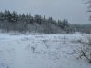 IMG_20181127_113148_1.thumb.jpg.bc7f6f2281251827e2ad96fd8d66b278.jpg