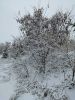 IMG_20181127_115948.thumb.jpg.339f1a4467044e4ea9d62a6a9581f357.jpg