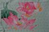 Lotuses4.thumb.jpg.07d86b500ecd3e8025dcb261e7b3dad9.jpg