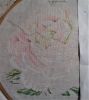 Peonies6-1.thumb.jpg.0613288da1a0e94cbebc51bf9df98b90.jpg