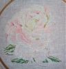 Peonies7.thumb.JPG.76c504ced91bb9a8c7c63ba5ae99468d.JPG