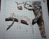 _20170117_204355.jpg