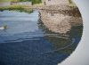 _DSC7969.thumb.JPG.49b2a9694c0e417c81ae16a385717173.JPG