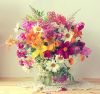 depositphotos_79646244-stock-photo-bouquet-from-cultivated-flowers-in.thumb.jpg.605e420e76eaaa92a28dcaf1076a3e37.jpg