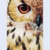 lanarte-owl.thumb.jpg.0300343b7d140f0f45a7c5a2e30f680f.jpg