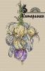qh4nmnyxsqg.thumb.jpg.ff3303db28b90e6dfe76d5fcfeebf90d.jpg