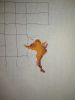 1544013732120.thumb.jpg.bb1466b84fad610b475439eb5543085f.jpg