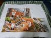 20181118_220544.jpg