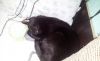 20181121_191336.thumb.jpg.8dbb4c5934ed1f01b5fa44dfde93d0aa.jpg