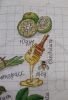 20181203_090609.thumb.jpg.9dfeb59b571a4c811c905bccbc941432.jpg